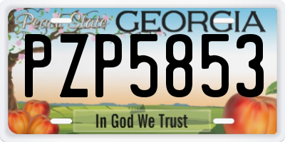 GA license plate PZP5853