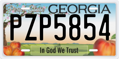 GA license plate PZP5854