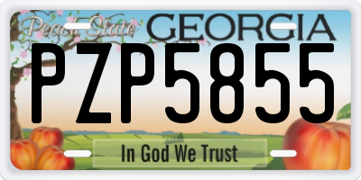 GA license plate PZP5855