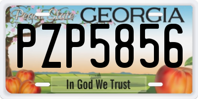 GA license plate PZP5856