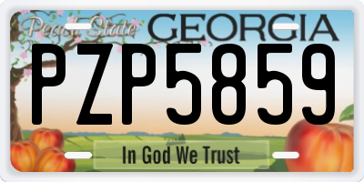 GA license plate PZP5859