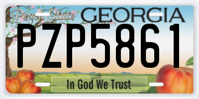 GA license plate PZP5861
