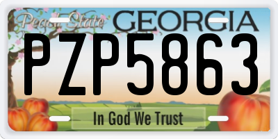 GA license plate PZP5863