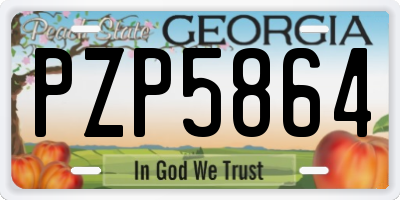 GA license plate PZP5864