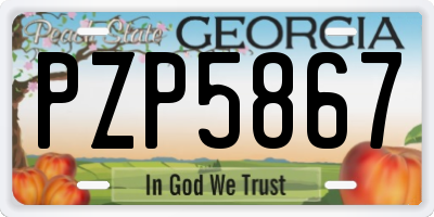 GA license plate PZP5867