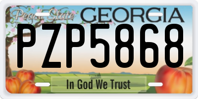 GA license plate PZP5868