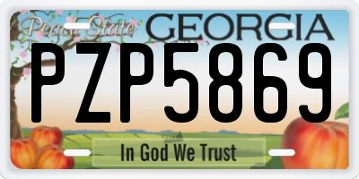 GA license plate PZP5869