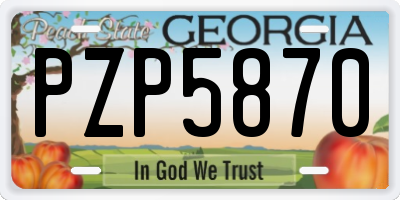 GA license plate PZP5870