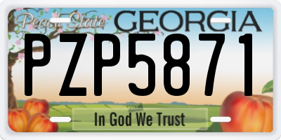 GA license plate PZP5871