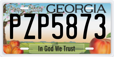 GA license plate PZP5873