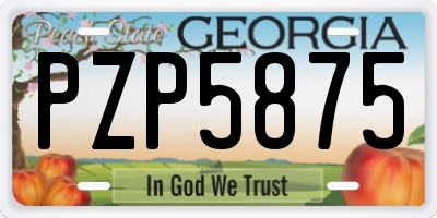 GA license plate PZP5875