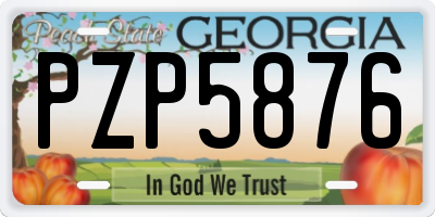 GA license plate PZP5876
