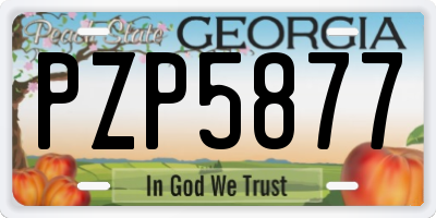 GA license plate PZP5877