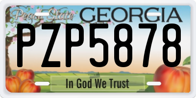 GA license plate PZP5878