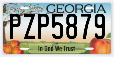 GA license plate PZP5879