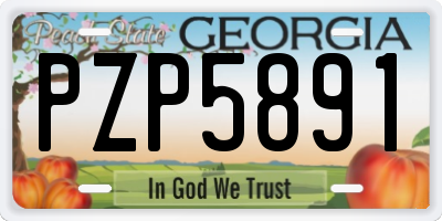 GA license plate PZP5891