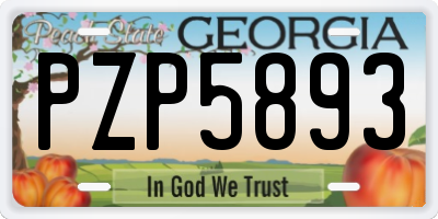 GA license plate PZP5893