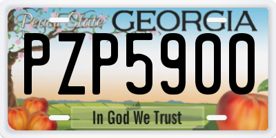 GA license plate PZP5900