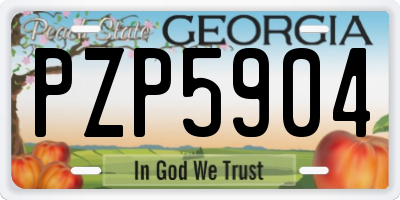 GA license plate PZP5904