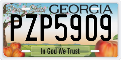 GA license plate PZP5909