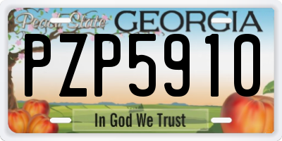 GA license plate PZP5910