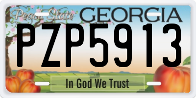 GA license plate PZP5913