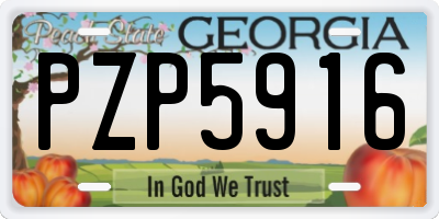 GA license plate PZP5916