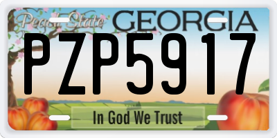 GA license plate PZP5917