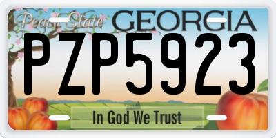 GA license plate PZP5923