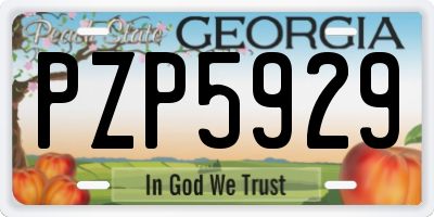 GA license plate PZP5929