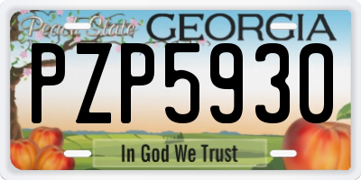 GA license plate PZP5930