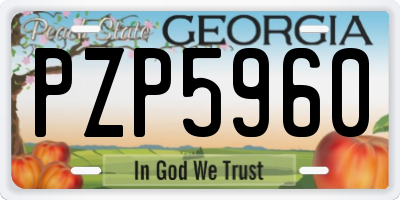 GA license plate PZP5960