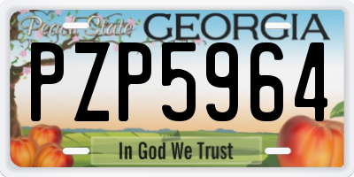 GA license plate PZP5964