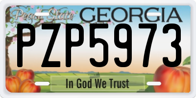 GA license plate PZP5973