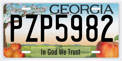 GA license plate PZP5982