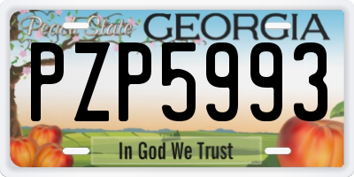 GA license plate PZP5993