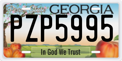 GA license plate PZP5995