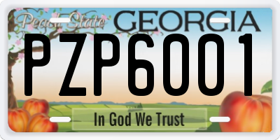 GA license plate PZP6001