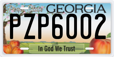 GA license plate PZP6002