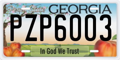 GA license plate PZP6003