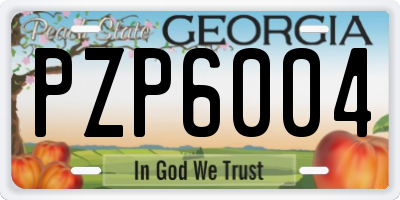 GA license plate PZP6004