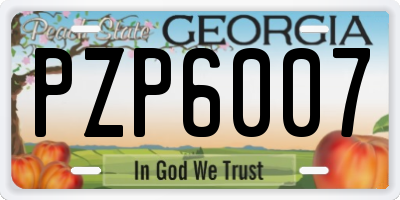 GA license plate PZP6007