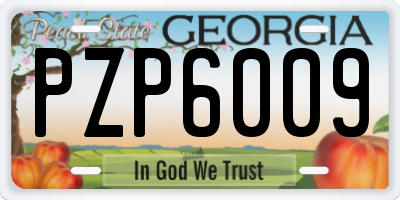 GA license plate PZP6009