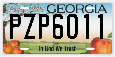 GA license plate PZP6011