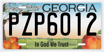 GA license plate PZP6012