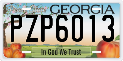 GA license plate PZP6013