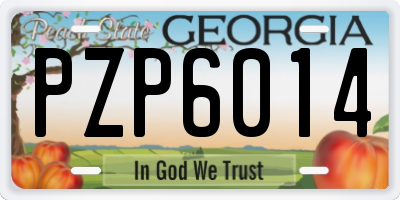 GA license plate PZP6014