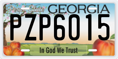 GA license plate PZP6015