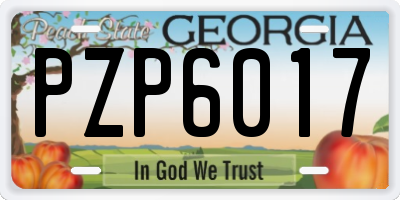 GA license plate PZP6017