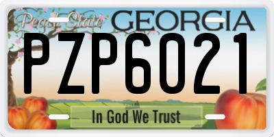 GA license plate PZP6021